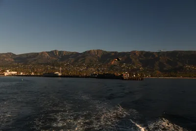 DSC_6573 (Large).JPG